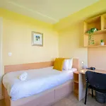 123 - Stylish 2-bed Apartmán Galway